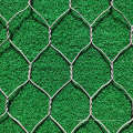 Malha de arame de galinha hexagonal revestida ou galvanizada em PVC ou galvanizada